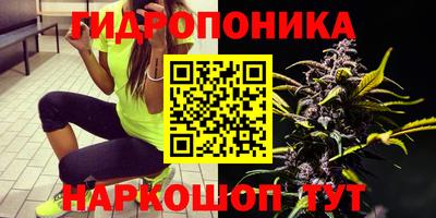 СК Ливны