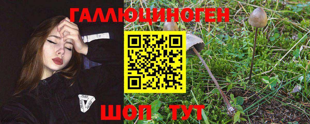 Галлюциногенные грибы Psilocybine cubensis  Галлюциногенные грибы Psilocybe  Шебекино  Вход с VPN 