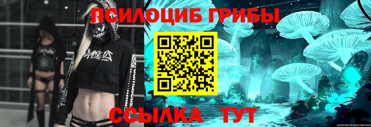 Псилоцибиновые грибы Magic Shrooms Шебекино